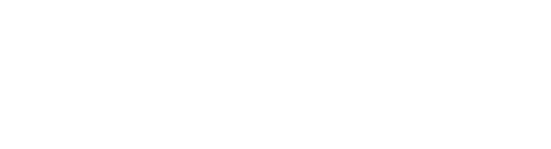 Daniel Brzozowski Real Estate Logo white